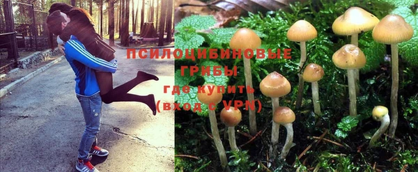 трава Волосово