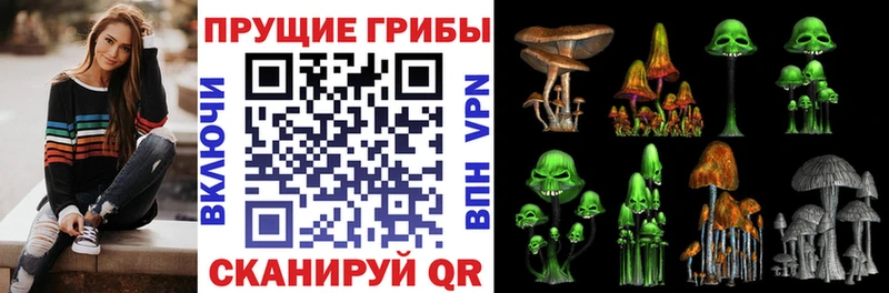Псилоцибиновые грибы мицелий  Купить  Сосновка 