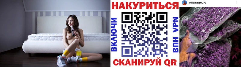 Бошки Шишки план  Купить закладки  Сосновка 